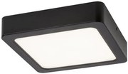 Rabalux SHAUN2 LED stropné svietidlo 71203