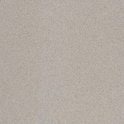 Dlažba Rako Taurus Granit sivá 20x20 cm mat TAA25076.1