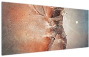 Obraz - Tenista (120x50 cm)