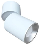 Bodové svietidlo ASTRA 1xGU10/10W/230V biela/strieborná