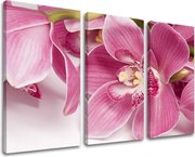 Obraz na stenu 3 dielny KVETY KV034E30 - 120x80 cm