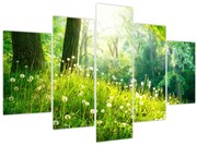Obraz - Magická lúka plná púpav (150x105 cm)