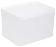 Úložný box GIZMO biely 883403