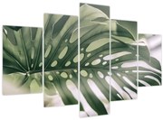 Obraz - List monštier (150x105 cm)