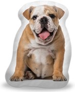 Sablio 3D vankúš Anglický buldog