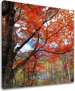 Obraz na stenu STROMY ST012E12