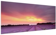 Obraz - Levanduľové pole (120x50 cm)