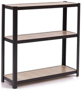 Regalux Regál RR3, 90 × 90 × 30 cm, nosnosť police: 70 kg