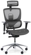Multifunkčná kancelárska stolička WINSTON SA, sivá