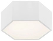 Argon 3828 - LED Stropné svietidlo ARIZONA LED/9W/230V biela