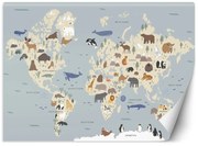 Gario Fototapeta Pastelová mapa kontinentov Materiál: Vliesová, Rozmery: 150 x 105 cm