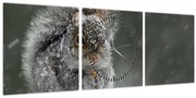 Obraz - Veverička v zime (s hodinami) (90x30 cm)