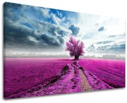 Obraz na stenu STROMY | rôzne rozmery