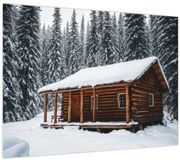 Obraz - Zasnežená chata (70x50 cm)