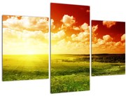 Obraz lúky so žiariacim slnkom (90x60 cm)