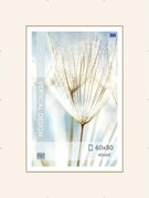 Klipový rám 60x80 cm, číry%