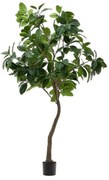 Umelý fikus (výška 210 cm) Ficus – Kave Home