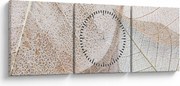 Obraz - Béžové listy (s hodinami) (90x30 cm)