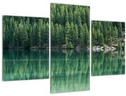 Obraz - Ihličnany pri jazere (90x60 cm)