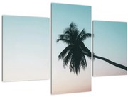 Obraz - Palma na Bali (90x60 cm)
