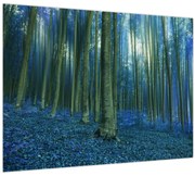 Obraz - Modrý les (70x50 cm)