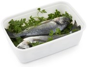 Plastové dózy do mrazničky, Rotho FREEZE, biela, 1 x 3,7l (30x20x9)