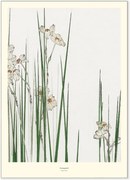 Nástenná dekorácia Jonquil