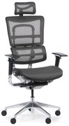 Multifunkčná kancelárska stolička WINSTON SAA, sivá