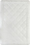 XXXLutz CELOROČNÁ PRIKRÝVKA, 135/200 cm, polyester, lyocel Sleeptex - Prikrývky & vankúše - 004393000701