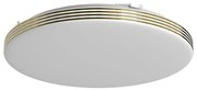 Stropné LED svietidlo Bever, 1x LED 16w, 4000k, g