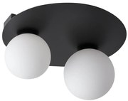 Stropné svietidlo ARGON 2xG9/12W/230V čierna