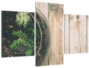 Obraz sukulentov v skle (90x60 cm)