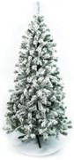 Limpol Jedľa Eliza 2,40 m zasnežená