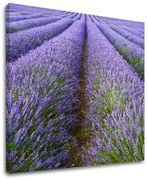 Obraz na stenu KRAJINA | rôzne rozmery