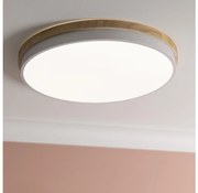 Brilliant - LED St. stropné svietidlo BAARLO LED/36W/230V pr. 50 cm biela + DO