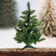 Vianočný stromček borovica zelené konce 80 cm