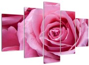 Obraz ruže (150x105 cm)