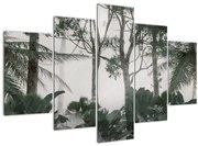 Obraz - Jungle v rannej hmle (150x105 cm)