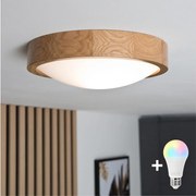 Brilagi-LED RGBW stmievateľné stropné svietidlo CARVALHO SLIM 1xE27/15W/230V Wi-Fi dub pr. 27