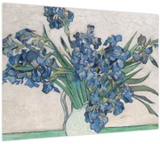 Obraz - Vincent van Gogh, Irises, reprodukcia (70x50 cm)