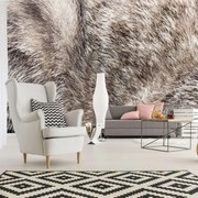 Fototapeta - Mačacia srsť (254x184 cm)