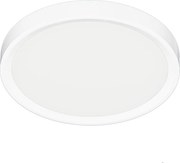 Stropné LED svietidlo Maq, 1x LED 18w, 3000-6500k, w