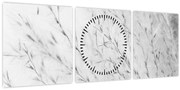 Obraz - Pampas grass N⁰2 (s hodinami) (90x30 cm)