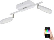 Eglo 97692 - LED RGB Bodové svietidlo PALOMBARE-C 2xLED/5W/230V