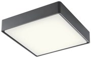 Redo 90158 - LED Vonkajšie stropné svietidlo MARINA LED/16W/230V IP65 antracit