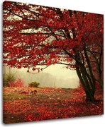 Obraz na stenu STROMY ST017E12