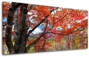Obraz na stenu PANORÁMA STROMY | rôzne rozmery