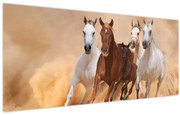 Obraz - Stádo koní (120x50 cm)