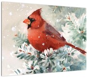 Obraz - Kardinál (70x50 cm)
