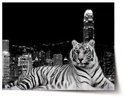 Sablio Plagát Mestský tiger - 60x40 cm